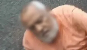 جنايني مدرسة الإسكندرية 