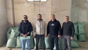 حملة تموين الإسكندرية