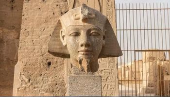  رأس تمثال رمسيس الثاني بمعبد أبيدوس