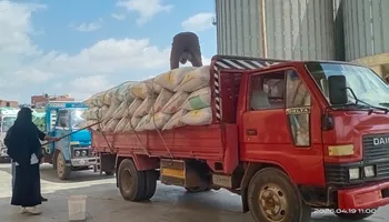 صوامع كفر الشيخ تستقبل الأقماح