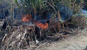 حريق يلتهم محصول القصب 