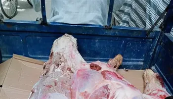 ضبط لحوم فاسده
