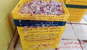 ضبوطات المنوفية 