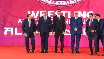 محافظ الإسكندرية 