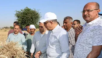 محافظ المنيا 