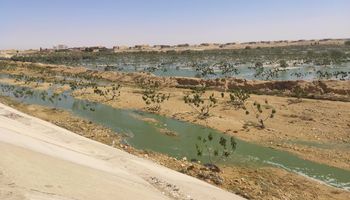 محافظة مطروح 