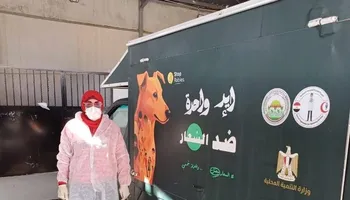  مكثفة للتعامل مع الكلاب الحره ونقلها إلى الشيلتر بعدد من المناطق  ببورسعيد 