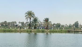 موقع الحادث 