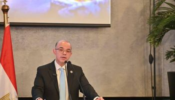 وزير الاستثمار 