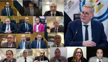 وزير البترول 