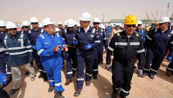 وزير البترول 