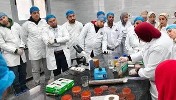الكوادر الفنية