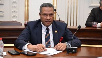النائب محمد حمزة