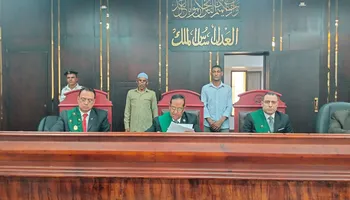 الفاعلية 