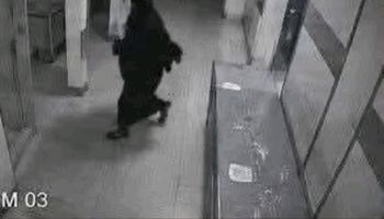 صوره المنتقبة 
