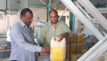المضبوطات
