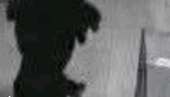 كاميرات المراقبة ترصد السيدة 