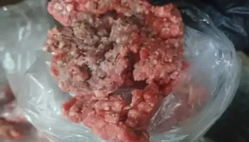 المضبوطات