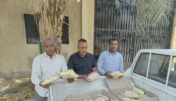 المضبوطات