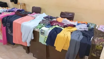 الفاعلية 