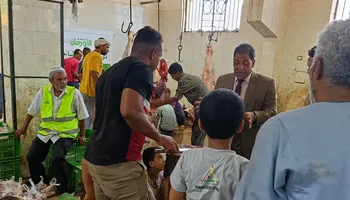 الفاعلية