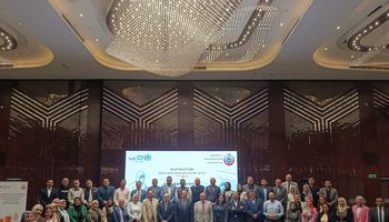 البرتامج التدريبى