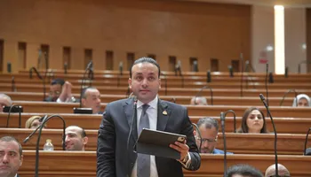 النائب عمرو فهمي
