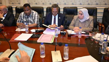 النائب محمد حمزة أمام تشريعية الشيوخ