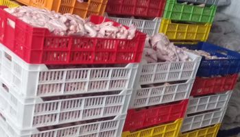  بورسعيد تُحكم قبضتها على المداخل.. إحباط محاولة تهريب طن و100 كجم دواجن فاسدة قبل تسللها للأسواق