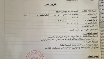 تقارير الحالة  