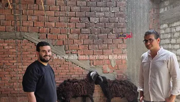 جانب من الاوضحية