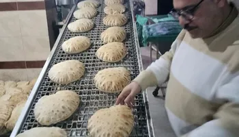 جانب من الحملات 
