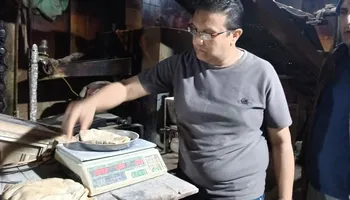 جانب من الحملة 
