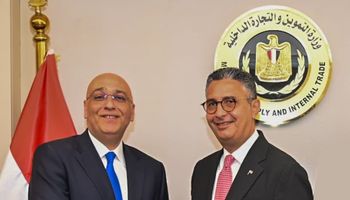 جهاز تنمية المشروعات 