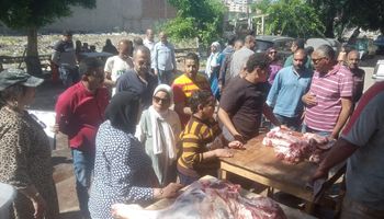 حملات الأحياء