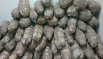 صورة ارشيفية