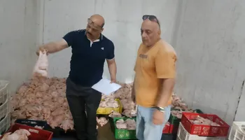 ضبط 2 طن دواجن تالفة 