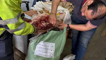 ضبط ٤ أطنان أغذية فاسدة وغير صالحة للاستهلاك الآدمي بالمنطقة الصناعية ببورسعيد 