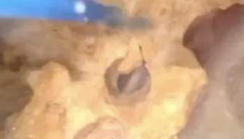 عمليه تفتيت 