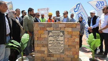 رئيس هيئة تنمية الصعيد