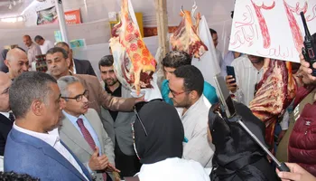 معرض أضحى مبارك ببنى سويف 