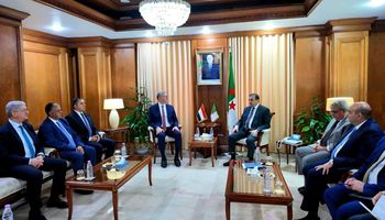 وزير البترول 