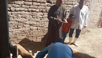المتابعة. 