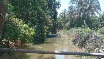 جانب من الترعه
