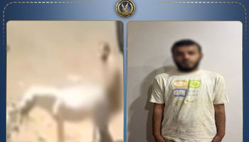 المتهم 