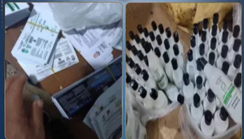 المضبوطات 