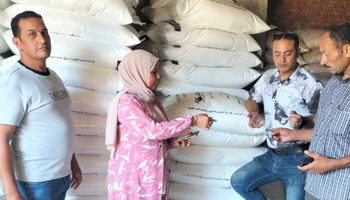 جانب من الضبطيات