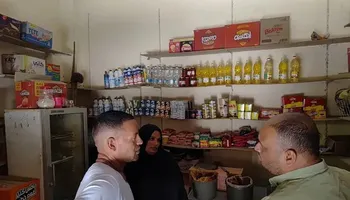 الفاعلية 