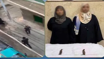 المتهمين 