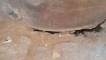 العامود 